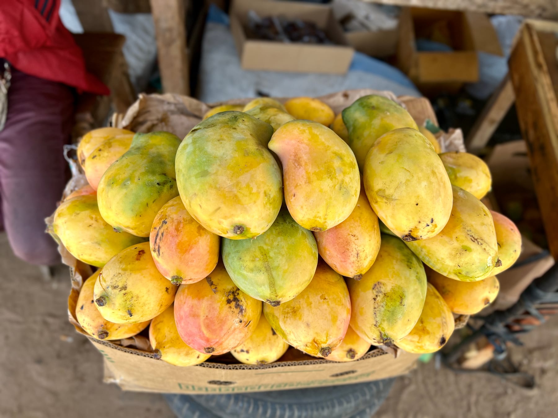 mangue