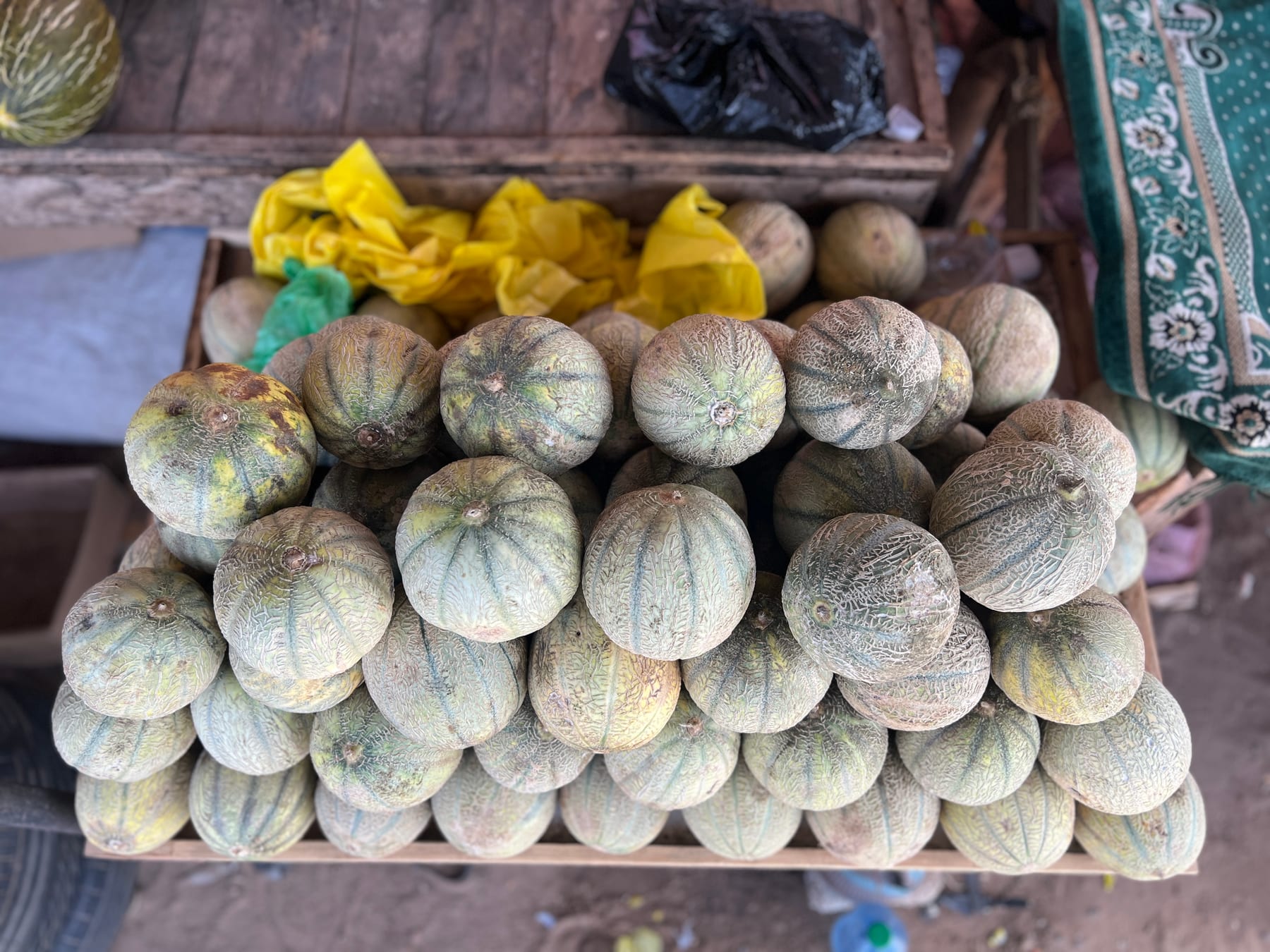 melon